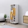 Hexa Engineered Wood Bookshelf Multipurpose Storage Rack in Frosty White and Giant Wood Colour