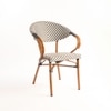 Willow Wisp Outdoor Chair