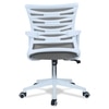 Iinea Mid Back Ergonomic Chair in Grey Colour