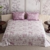 Stoa Paris Super King Size Cotton Bedsheet with 2 Pillow Covers  Size Blushwood Pink
