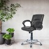 Ammoreavolea Mid Back Executive Chair in Black Colour