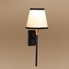 Devansh Metal Electric Wall Light in Black Colour with Multi Shade Count of 1 Light
