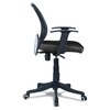 Xxeana Low Back Ergonomic Chair in Black Colour
