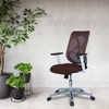 Wiwngas Mid Back Ergonomic Chair in Brown Colour