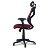 Zeeazyana High Back Ergonomic Chair in Maroon Colour