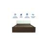 Japa Engineered Wood Queen Size Bed In Walnut Finish