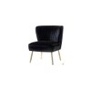 Fission Fabric Accent Chair in Black Colour