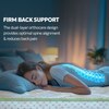 Sleepwell Spinetech Classic Mattress 8 inch King High Resilience (HR) Foam Mattress (L x W: 72 inch x 72 inch)