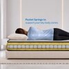 Sleepwell Ortho Pro Spring Mattress Medium Firm Single 75x30x10 Inch