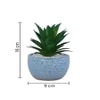 Attractive Aloe Vera Plant With Blue Pebble Patterned Design Ceramic Pot