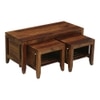 Dolce Rectangular Solid Wood Coffee Table In Teak Finish