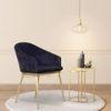 Malik Foam Dining Chair in Multicolour