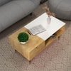Hexa Engineered Wood Coffee Table With 1 Drawer In Giant Wood And Frosty White