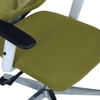 Wiweangs High Back Ergonomic Chair in Pearl Green Colour