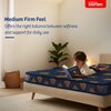 KURLON Easystar Mattress 4 inch Queen PU Foam Mattress (L x W: 78 inch x 66 inch)