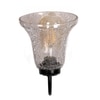 Devansh Metal Electric Wall Light in black Colour with Transparent Shade Count of 1 Light