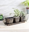 Metal Table Planters With Tray Set Of 4 In Black And Gold Colour