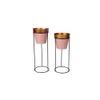 Deanna Planter Set of 2