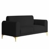 Veniza Velvet 2 Seater Sofa In Black Colour