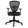 Aaeroa Low Back Ergonomic Chair in Black Colour