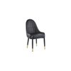 Danaja Accent Chair in Black Colour Set 2