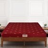 Amaze Eco High Density Foam Mattress (72 x 48 in, 4 Inches)