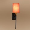Devansh Metal Electric Wall Light in Black Colour with Orange Shade Count of 1 Light