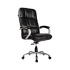 Adiko Puffy Director Chair In Black