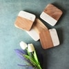 Terra Blend Natural Stoneware Coaster Set
