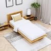Hexa Engineered Wood Modern Single Bed With Headboard Without Storage In Giant Wood