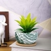 Artificial Aloe Vera Plant In A Patterned Ceramic Pot With A Wooden Plate