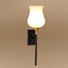 Devansh Metal Electric Wall Light in Black Colour with White Shade Count of 1 Light