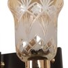 Eliante Modern Wall Lights Mild Steel, Glass & Glass Material Brown,Gold & Golden Finish