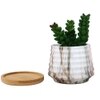 White 1 Pieces Succulent Artificial Plant With Pot