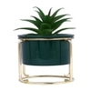 Aloe Vera Plant In Green Ceramic Pot With A Metal Stand