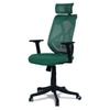 Zeeazyana High Back Ergonomic Chair in Dark Green Colour