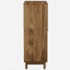 Olio Mango Wood Hand Painted Multicolor 2 Door Cabinet In Natural Finish
