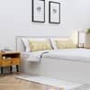 Hexa Engineered Wood Modern Queen Bed With Headboard With Storage In Frosty White