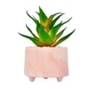 Citrus Delight Artificial Succulent With Pink Planter
