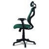 Zeeazyana High Back Ergonomic Chair in Dark Green Colour