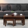 Antiz Nesting Coffee Table Set Of  3