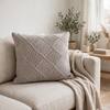 Danube Bright Silver Decorative Cushion Cover 16 x 16 Inches