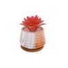 White 1 Pieces Succulent Artificial Plant With Pot