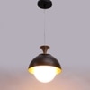 Eliante Metal Hanging Lights Mild Steel & Glass Material Antique, Black & White Finish