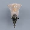 Devansh Metal Electric Wall Light in Antique gold Colour with Transparent Shade Count of 1 Light