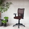 Eexcaeal Mid Back Ergonomic Chair in Brown Colour
