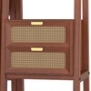 Strava Solid Wood and Cane Bookshelf with in Honey Finish