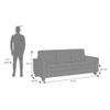 Apollo Neo 3 Seater Fabric Sofa in Daschund Brown Colour (Back Height : High, Cushion Type : Soft)