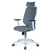 Ssilae High Back Ergonomic Chair in Grey Colour