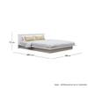 Hexa Engineered Wood Modern King Bed With Headboard Without Storage In Frosty White